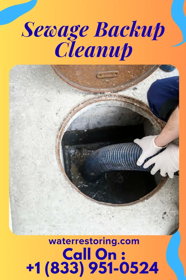Sewage Backup Cleanup in Helena, OH